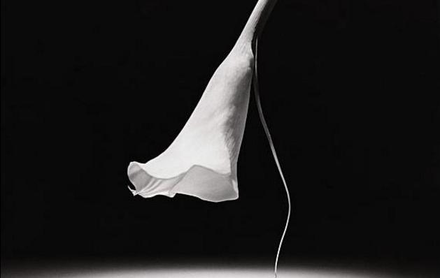 结婚后老公总是对自己发脾气,婚后发现老公有极端行为怎么办