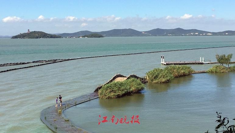 江苏无锡最高楼,无锡目前最高楼