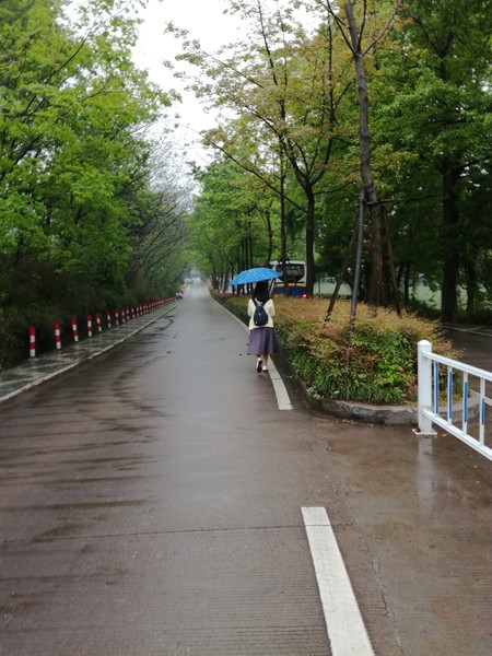 杭州两日游攻略推荐,杭州两日游攻略吃什么