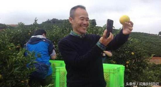 6个小时卖26万斤，“励志橙”背后的故事，王石潘石屹都为它宣传