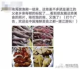 广东开海买海鲜,广东开海海鲜便宜还是贵