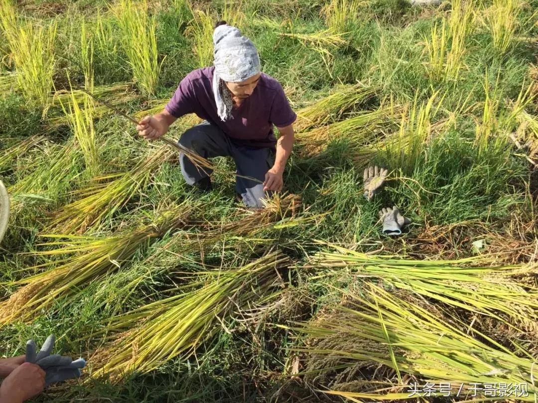 涓嶆墦宸ヤ笉涓婄彮灏辫兘涔版埧,涓嶆墦宸ヤ笉涔版埧鏃朵唬