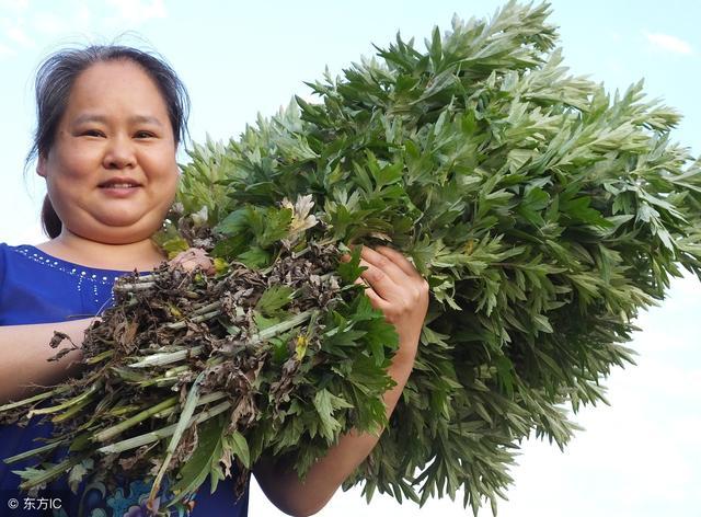 儿童床垫不易长螨虫,10年床垫螨虫