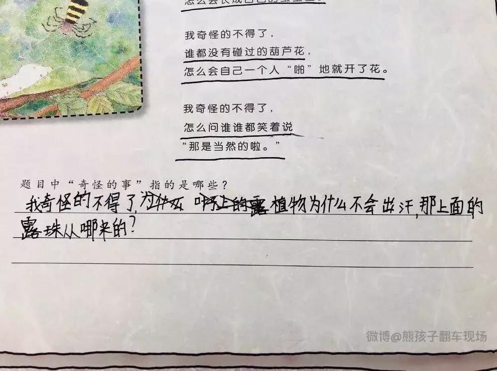 用我奇怪得不得了造句,用奇怪造句小学二年级