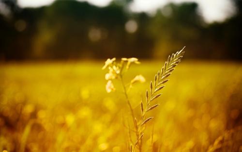 阿秋心理咨询师谈抑郁,阿秋如何帮助抑郁症孩子走出困境