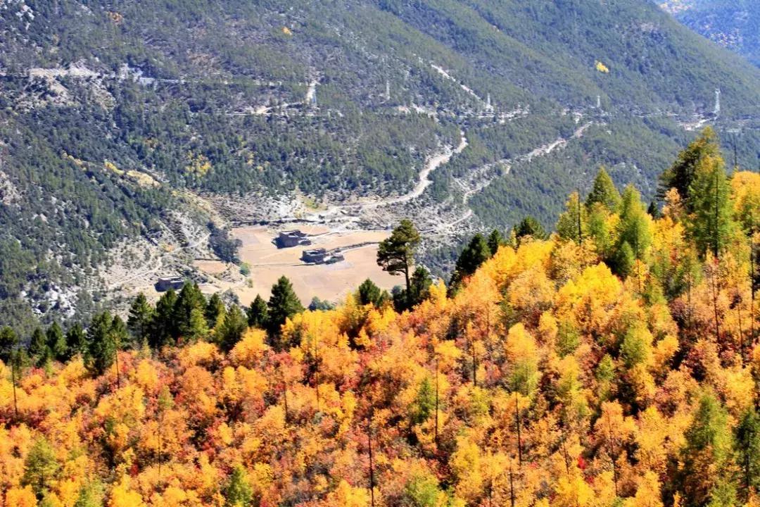 四川秋景第一名,四川欣赏秋景好去处
