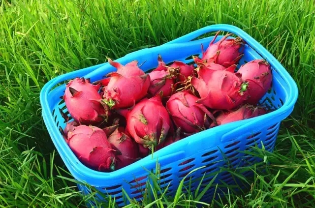 绵阳游玩攻略详细攻略,绵阳必去的十个地方