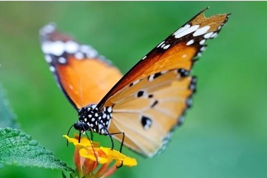 绵阳游玩攻略详细攻略,绵阳必去的十个地方