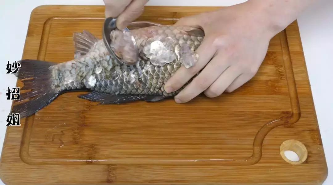 刮鱼鳞用小刀,刮鱼鳞方便快捷