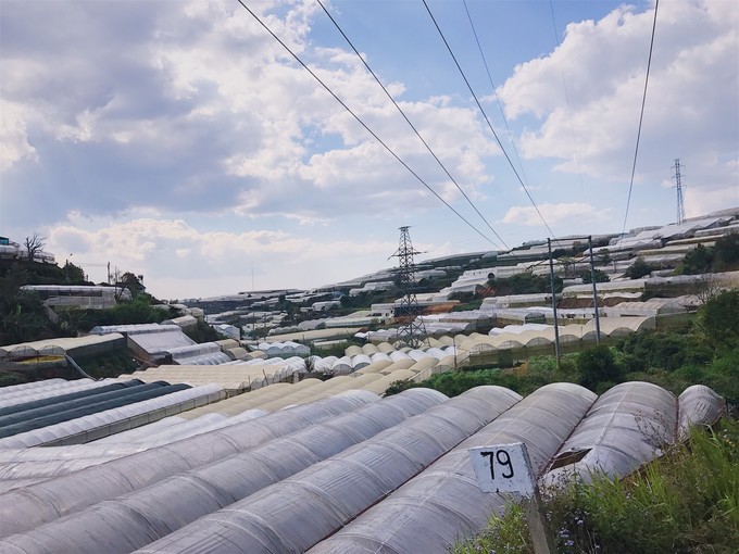 越南由南到北旅游方式,5000元越南8天7晚旅行全攻略