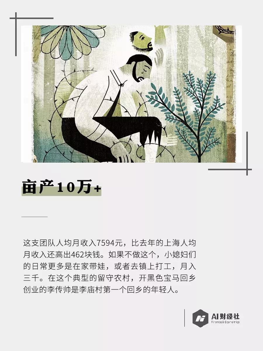 农妇做自媒体爆红后续,农妇自媒体的成功启示