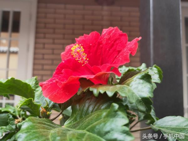 opporeno和r17哪个好,oppor17现在还值得买吗