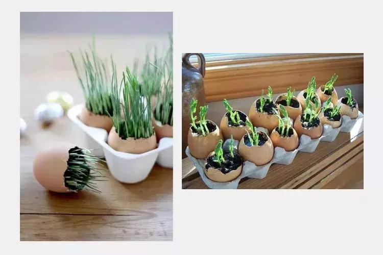 打造小菜园怎么种菜好看,自制阳台立体小菜园