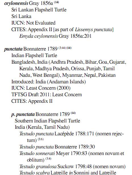龟鳖目动物大全及图片,所有龟鳖类动物