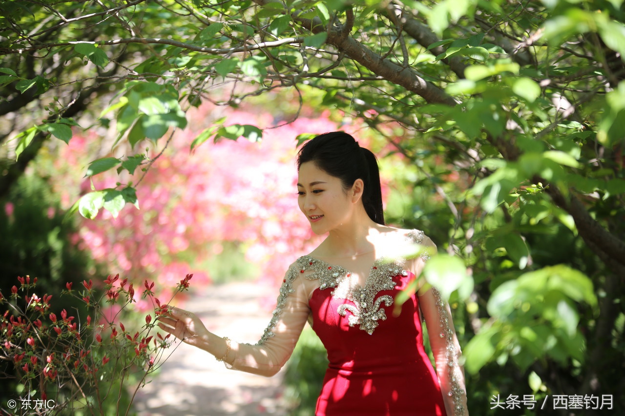 绿野仙踪世外桃源,金坛绿野仙踪风景