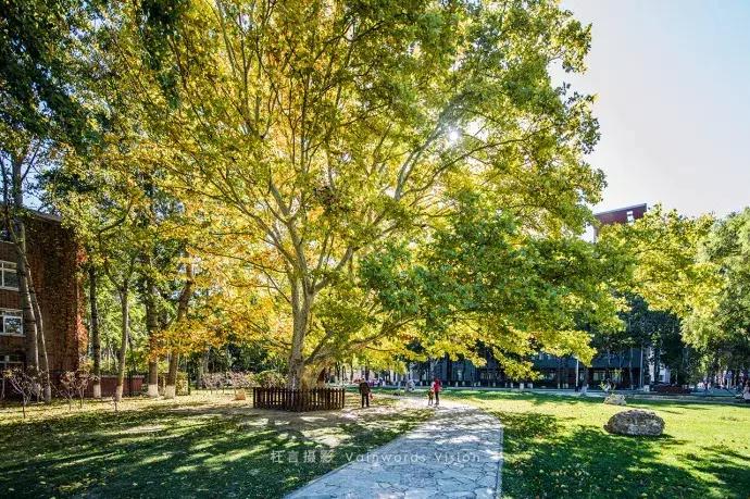 天津3日游必去十个景点免费,天津一日游最佳景点攻略