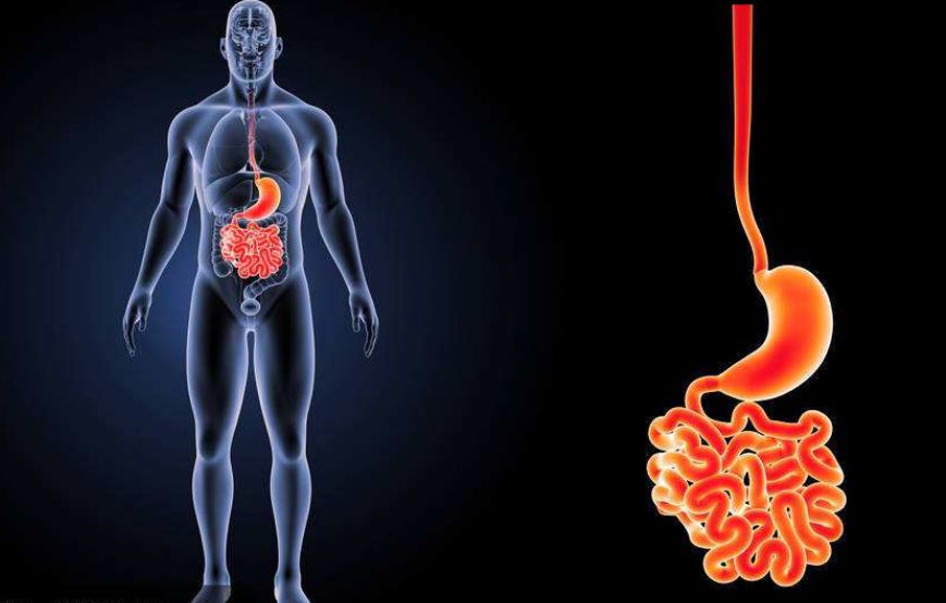 胆囊增大什么引起的,胆囊增大是什么原因