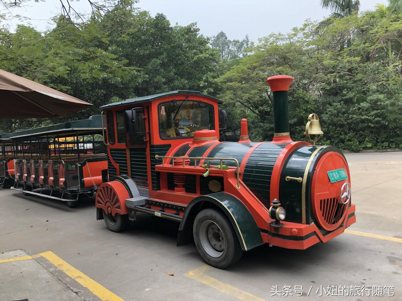 国内哪个动物园有考拉,广州长隆野生动物园考拉馆介绍