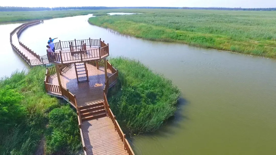 祝贺我市入选全国文明城市,武清区表彰先进个人和集体