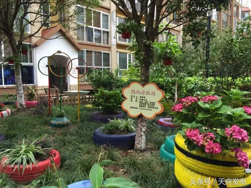 升级服务！万安街道创新探索社区治理新路径，提升居民幸福感