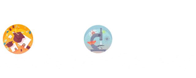 龙猫30年视频,龙猫三十年后是什么样子