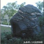 大沽河同题诗《秋月》总汇——56首