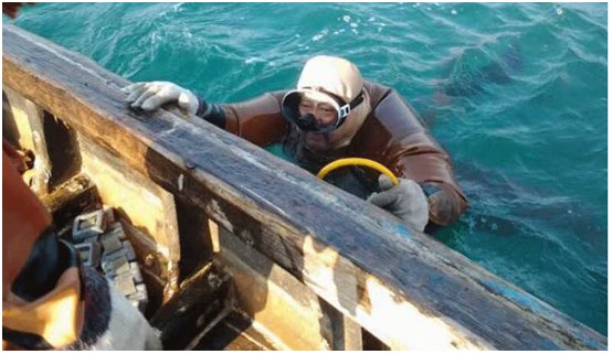 太热情，应邀来给大家介绍下家乡大连长海野生海参和当地生活！