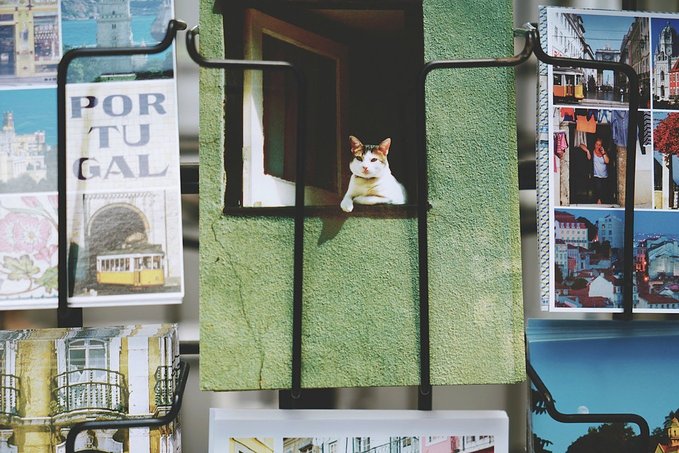 特价打折机票查询长春,打折机票查询特价机票桂林至上海