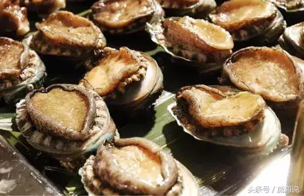 炫富卖海鲜的,威海开海去哪买海鲜