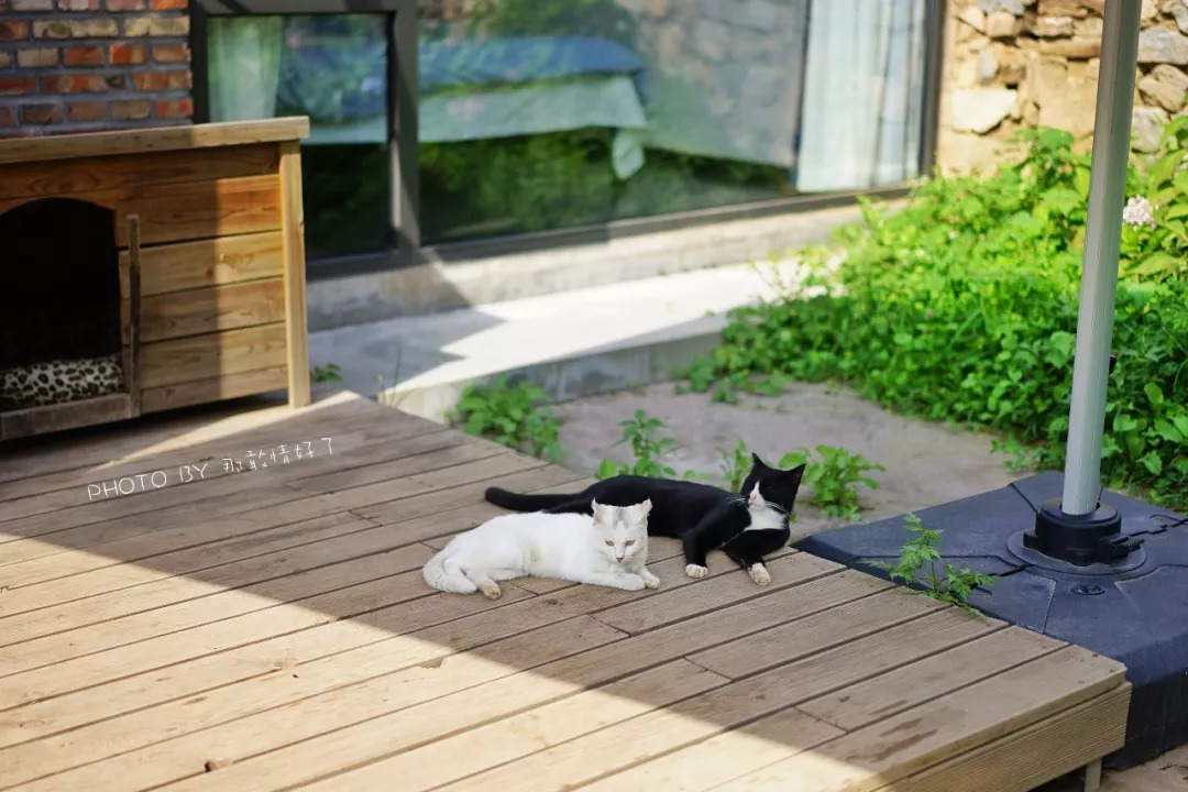 山楂树下农家,辉县山楂树下农家