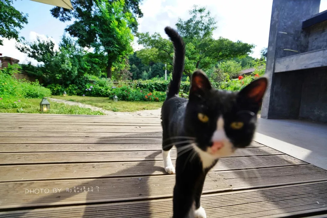 山楂树下农家,辉县山楂树下农家