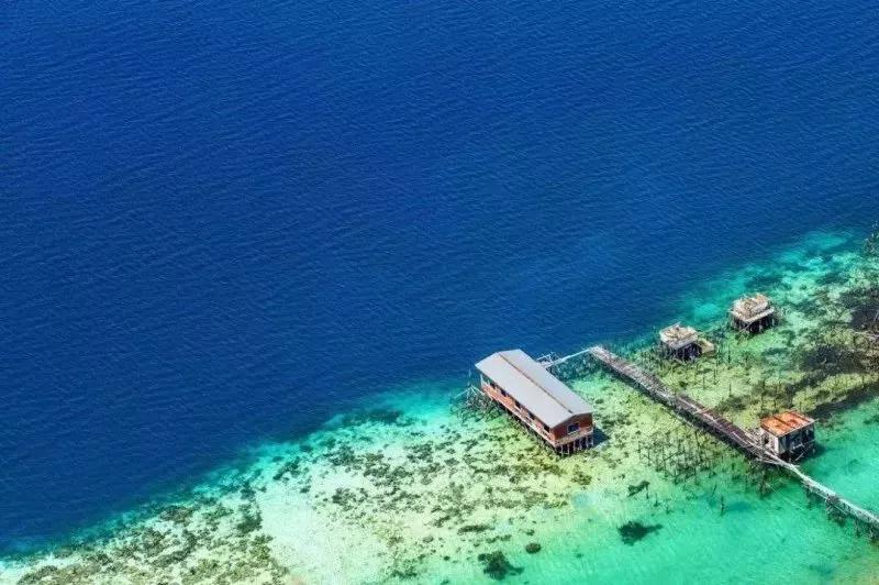 来自马来西亚的纯天然燕窝,燕窝印尼正品