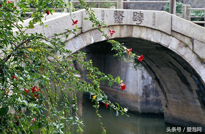 广东顺德最美村庄，被誉为广东的周庄：顺德逢简水乡