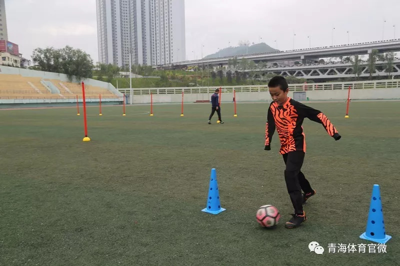 前国脚张恩华,前国脚张恩华有多强