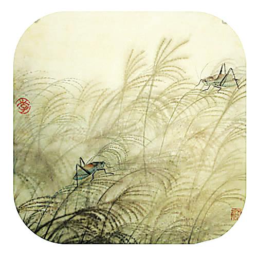 萌宠秀宠物,萌宠秀宠物会馆