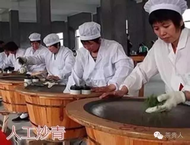 纯手工炒绿茶烘焙工艺,烘焙日照绿茶怎么做的