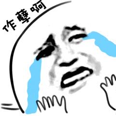 荷兰猪用8cm的脚垫可以吗,荷兰猪脚垫哪个牌子好