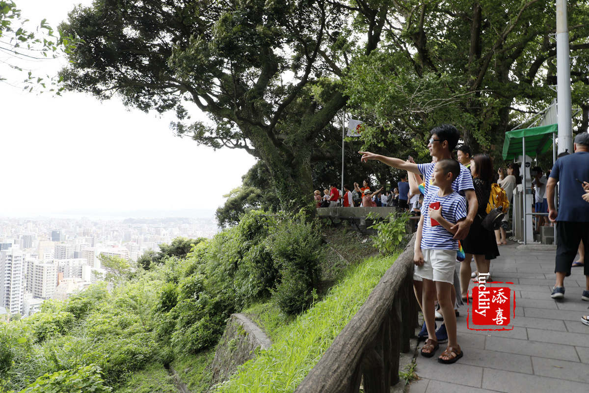 丽星邮轮双子星日本游,亲子游轮旅行攻略
