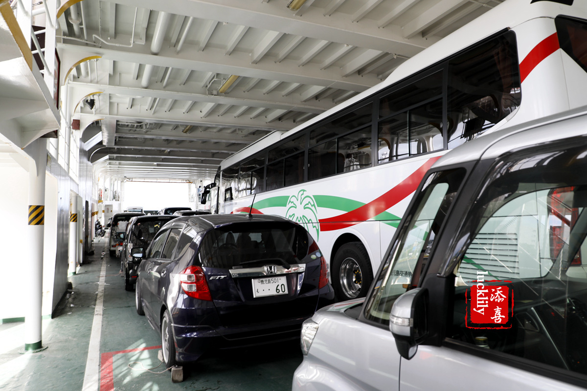 丽星邮轮双子星日本游,亲子游轮旅行攻略