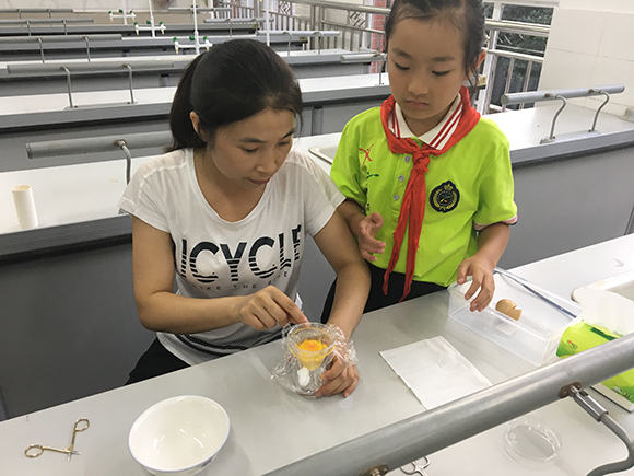 “蚊子来咬我吧,别去碰小鸡!”登上央视的重庆辽宁小学因为一个实验火了