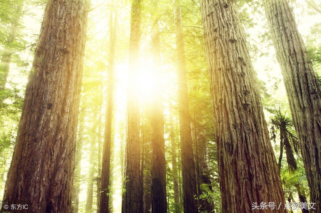 最有深意的简短微信朋友圈句子,微信朋友圈最有魔力的十句话