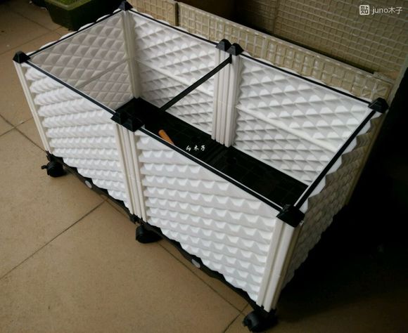 草龟繁殖经验分享孵蛋40天破壳,草龟孵化及幼龟养殖