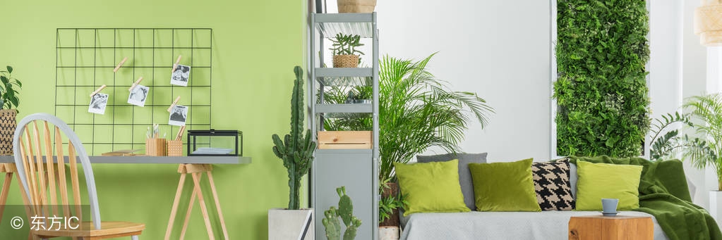 甲醛怎么去除掉最好的方法,去除衣柜甲醛最有效的方法