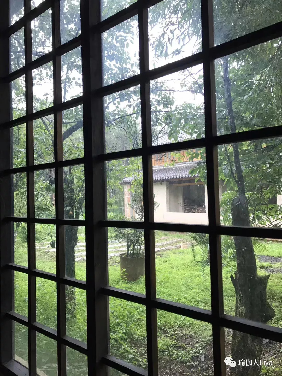 Liya老师寰宇瑜伽5日工作坊——丽江站