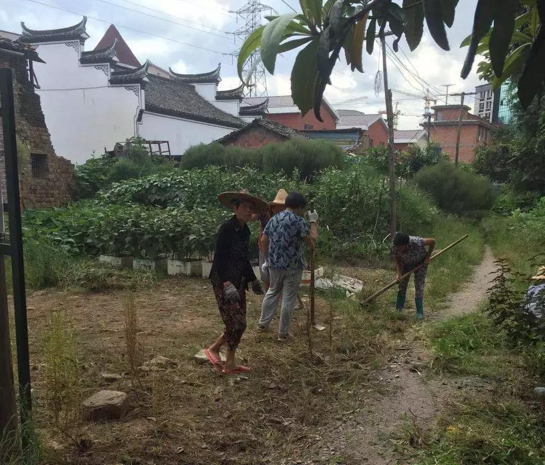 东阳市江北街道:一座城市一个家,文明江北靠大家!