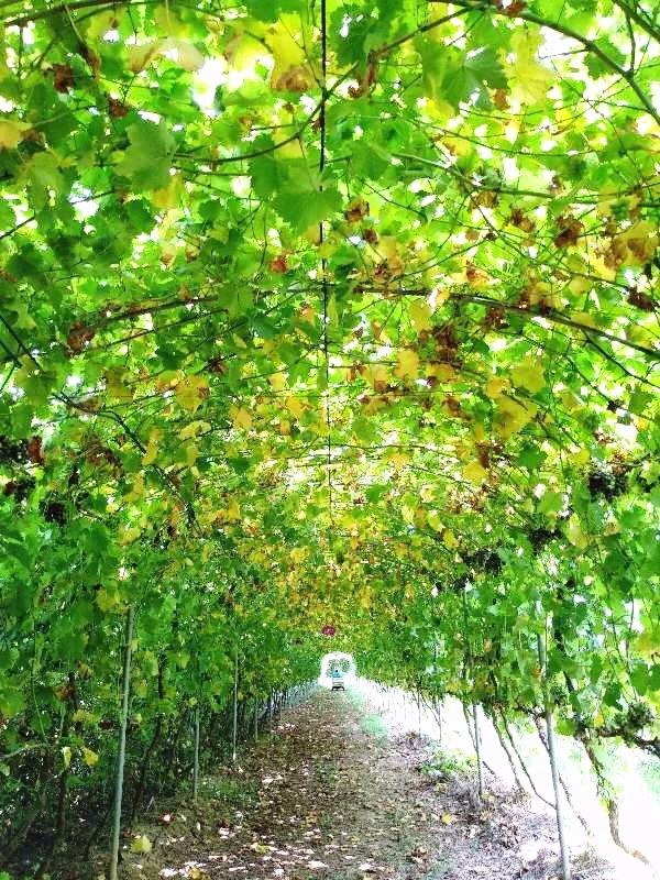 郑州约会好地方11佳！速度收藏，分分钟搞定女朋友！