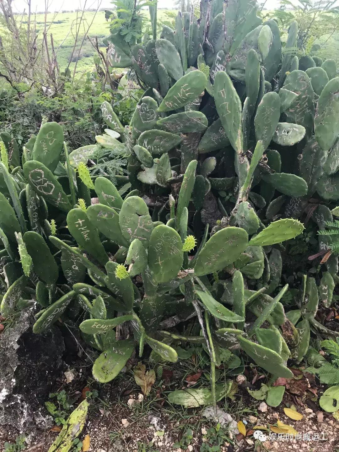 塞班自由行价钱,塞班岛自由行报价