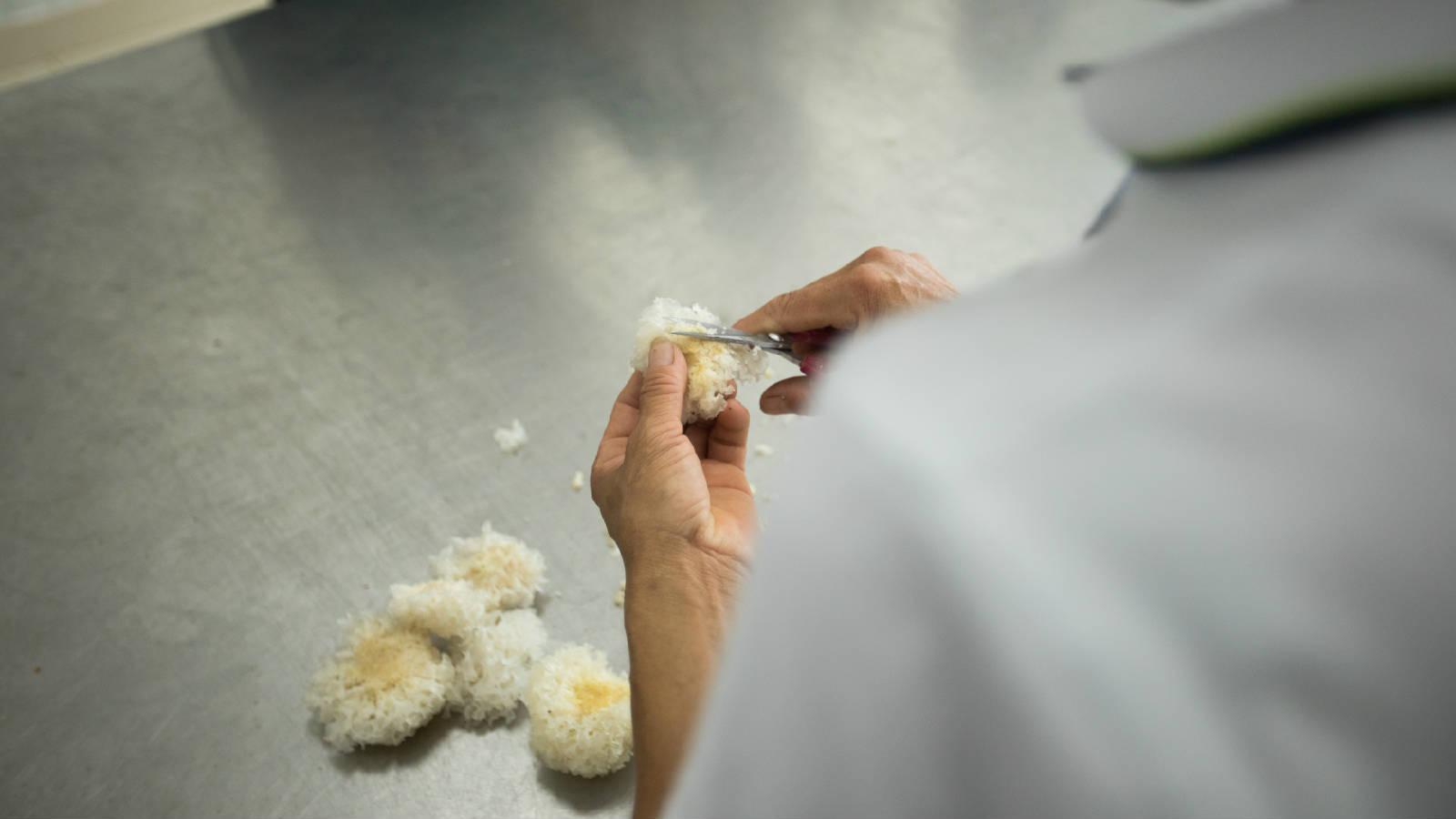 热点解读乡村振兴,通江乡村振兴