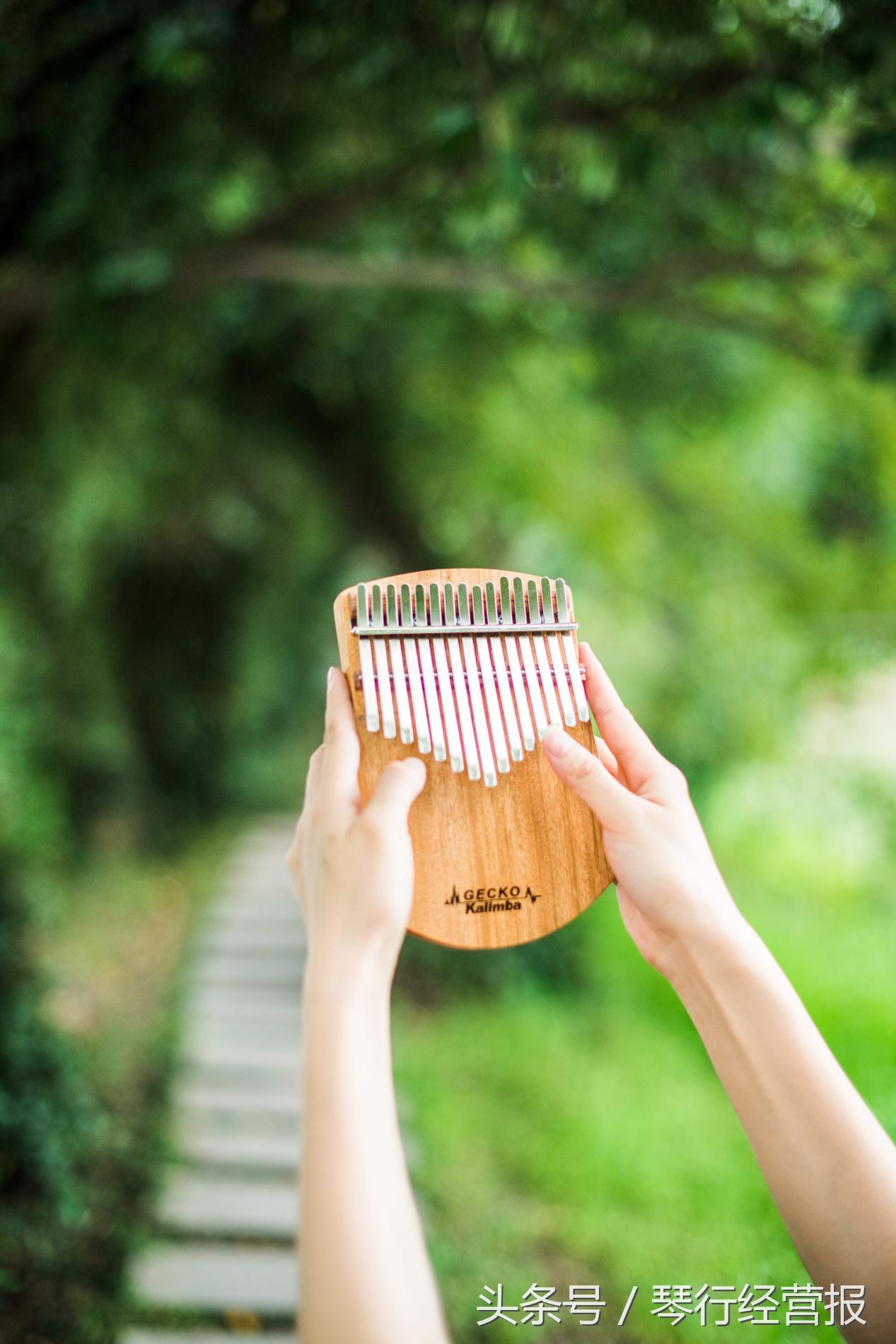 壁虎拇指琴型号,壁虎拇指琴琴谱