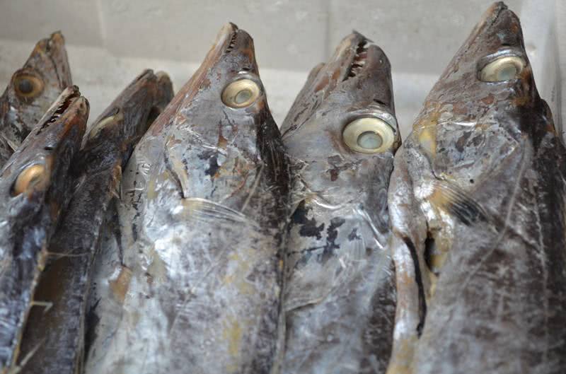 闽南小咸鱼干海鱼,闽南咸鱼干怎么煮好吃窍门